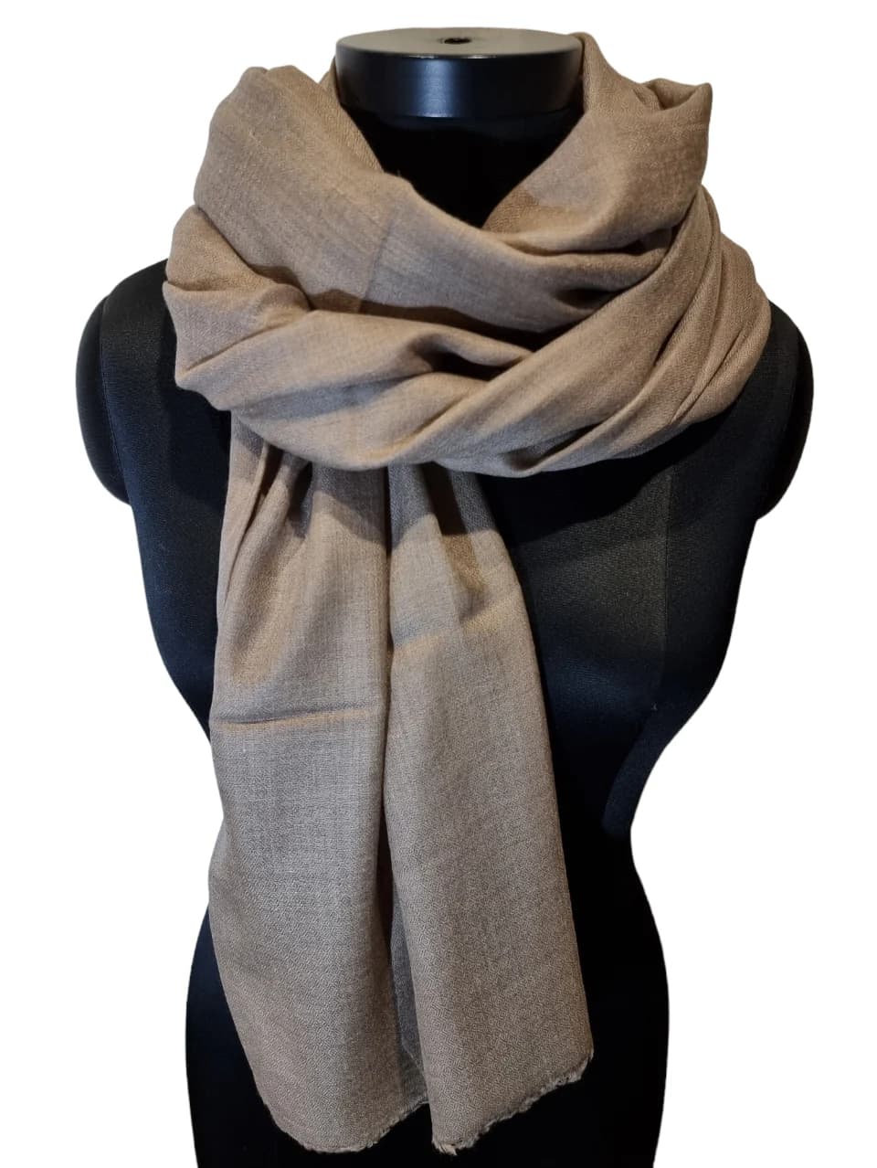 PORTOBELLO BROWN PASHMINA SHAWL