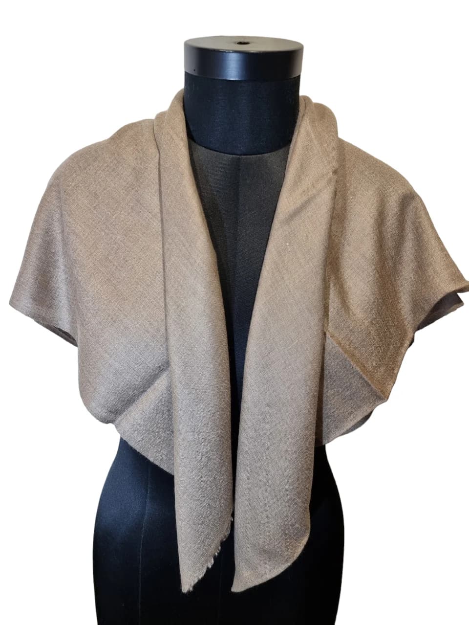 PORTOBELLO BROWN PASHMINA SHAWL