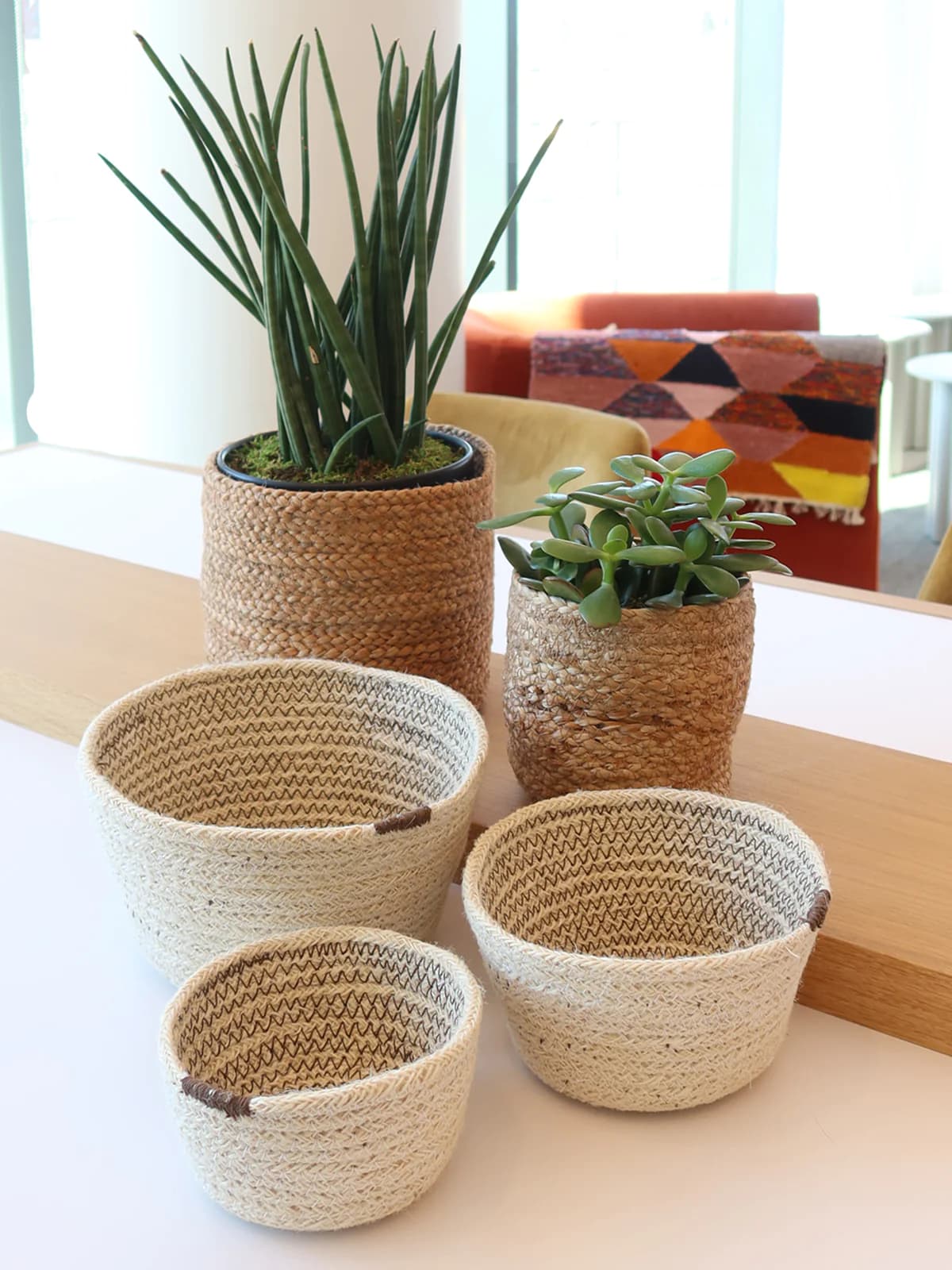 NATURAL BRAIDED JUTE PLANT BASKET SET OF 3