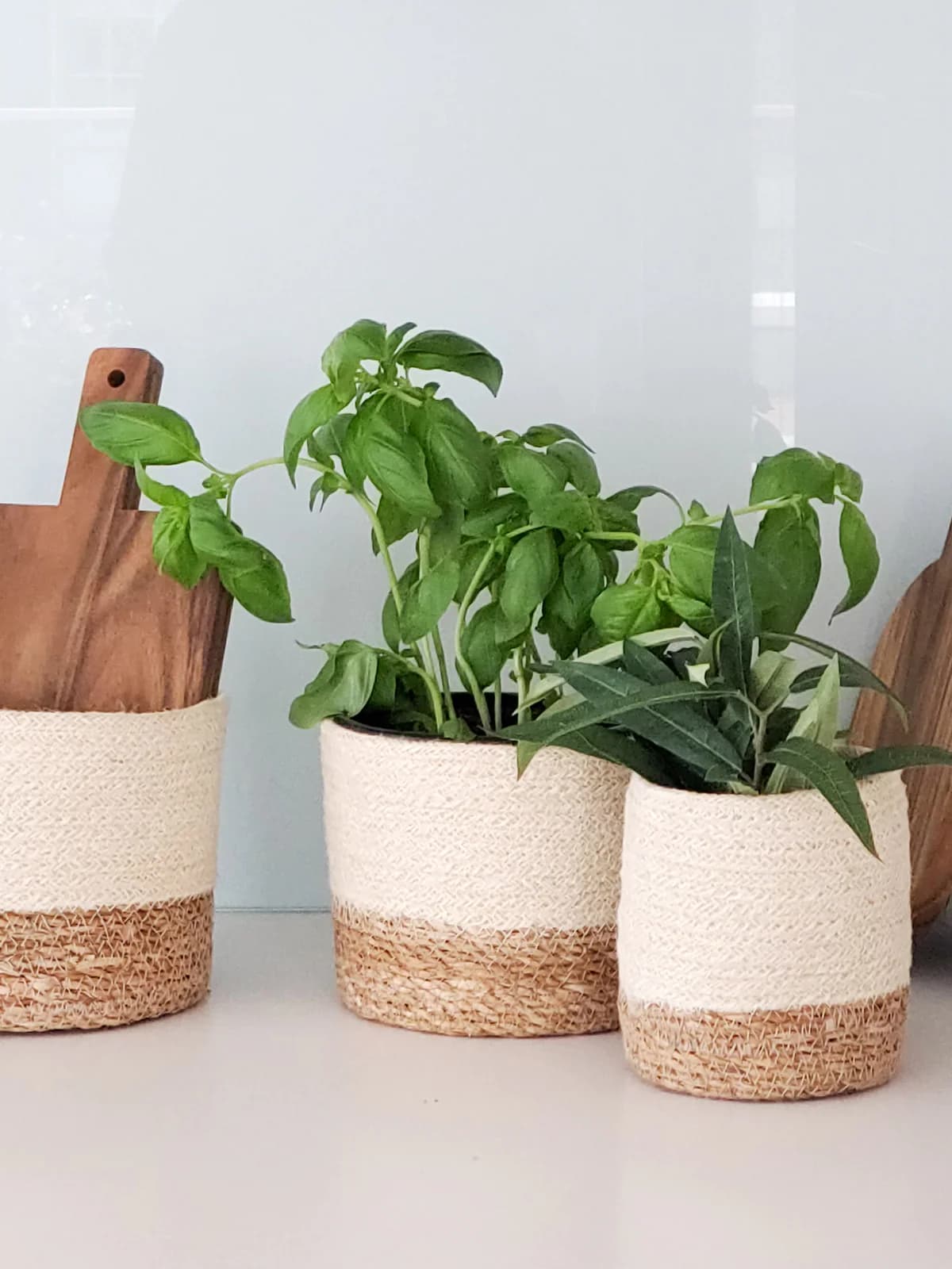 WHITE AND NATURAL BRAIDED JUTE PLANT BASKET SET OF 3