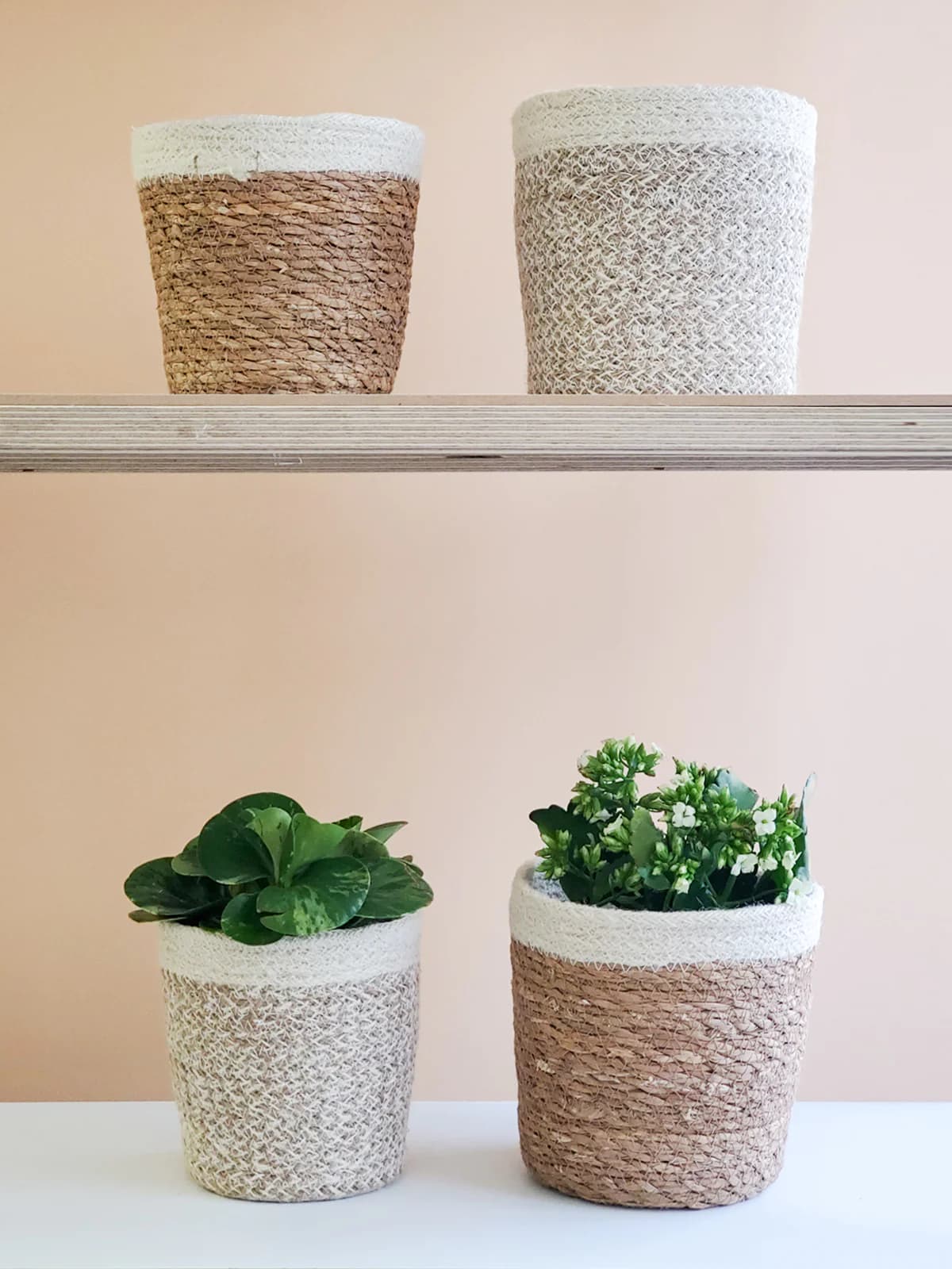 NATURAL JUTE WOVEN PLANT BASKET WITH WHITE BORDER SET OF 2