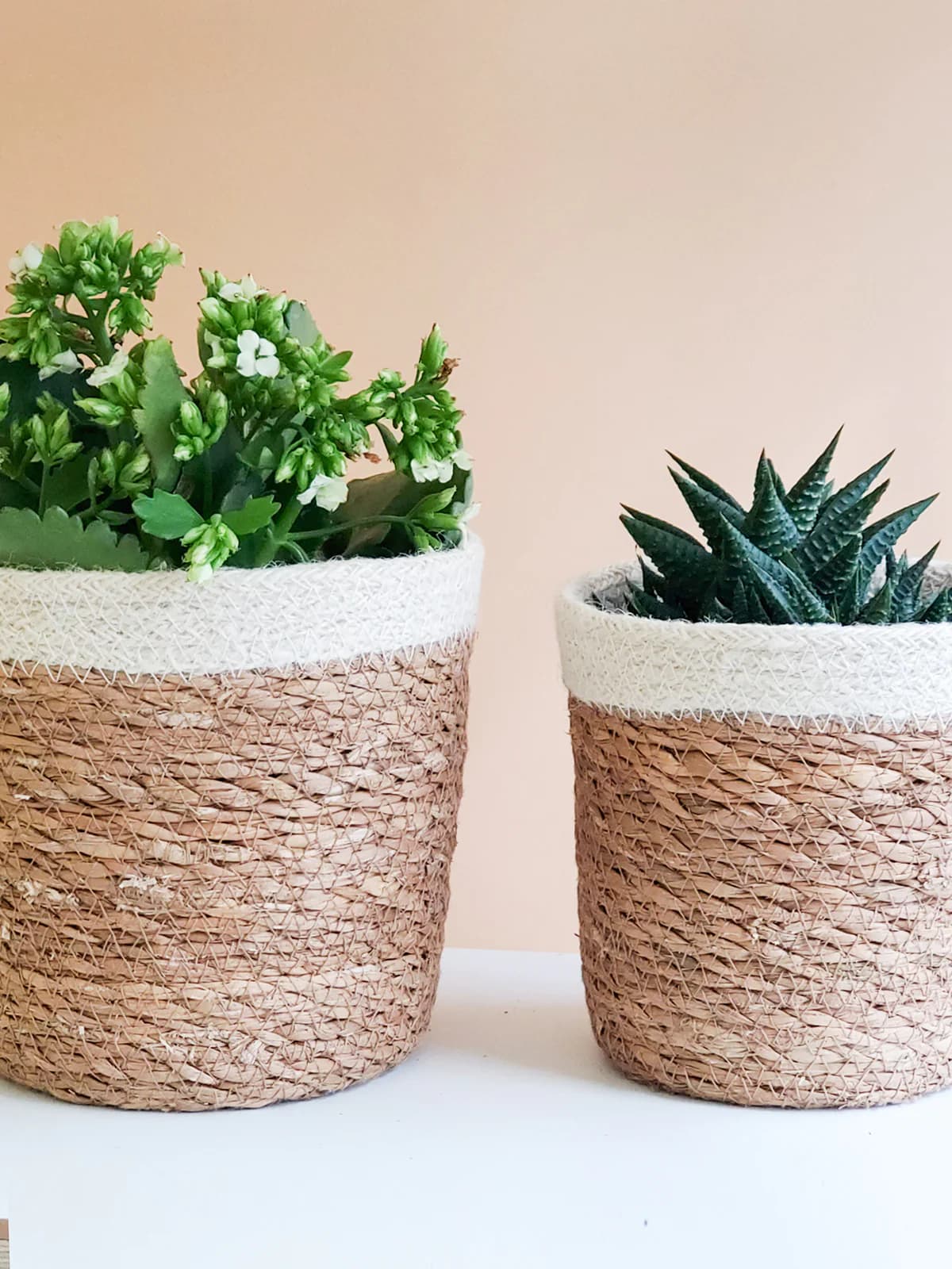 NATURAL JUTE WOVEN PLANT BASKET WITH WHITE BORDER SET OF 2