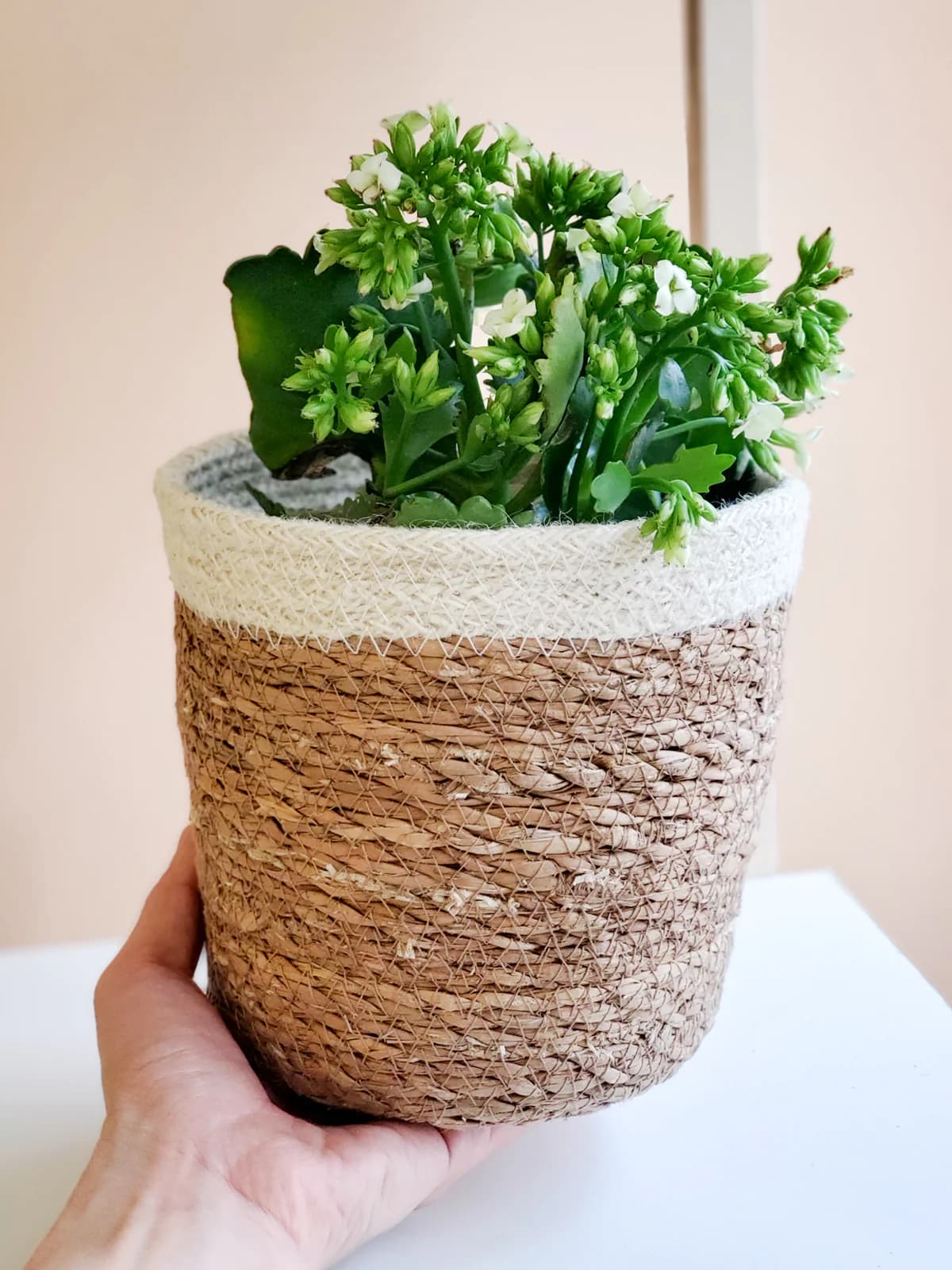 NATURAL JUTE WOVEN PLANT BASKET WITH WHITE BORDER SET OF 2