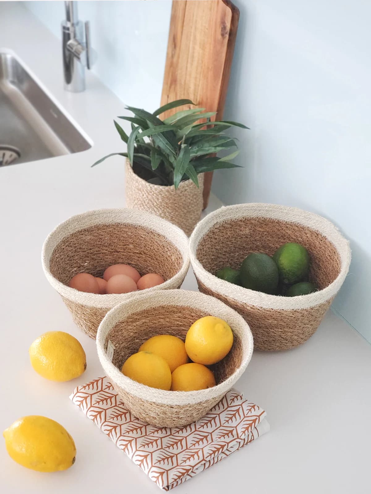 WHITE AND NATURAL BRAIDED JUTE PLANT BOWL SET OF 3