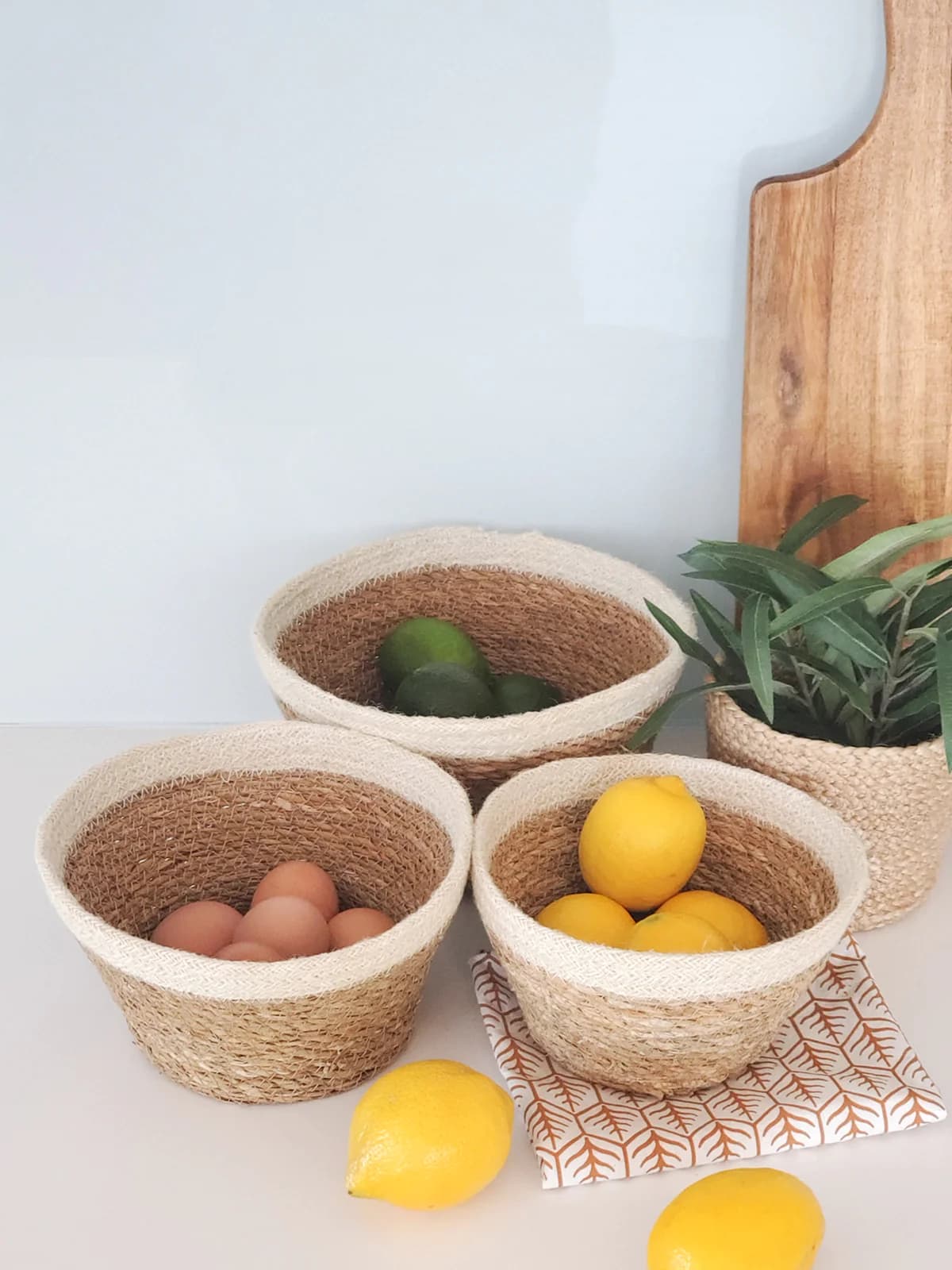 WHITE AND NATURAL BRAIDED JUTE PLANT BOWL SET OF 3