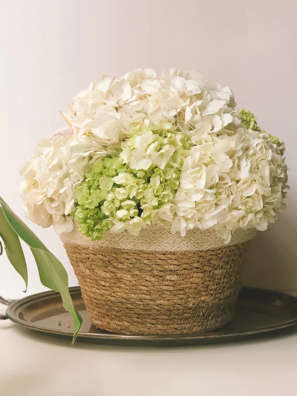 WHITE AND NATURAL BRAIDED JUTE PLANT BOWL SET OF 3