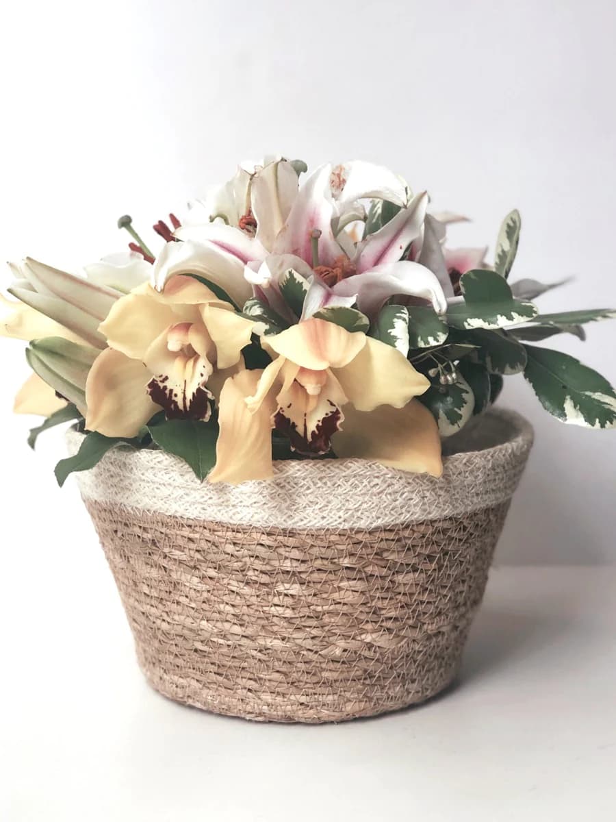 WHITE AND NATURAL BRAIDED JUTE PLANT BOWL SET OF 3
