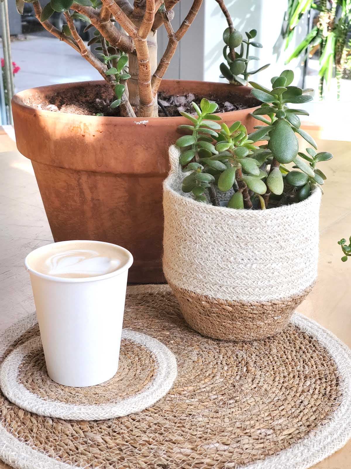 WHITE AND NATURAL JUTE WOVEN PLANT LOOP BIN SET OF 2