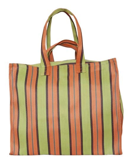 Lemon orange nylon grocery shopping bags
