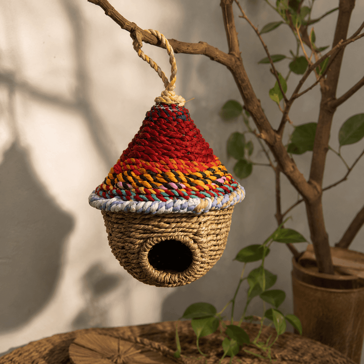 Rainbow Cone Bird Nest
