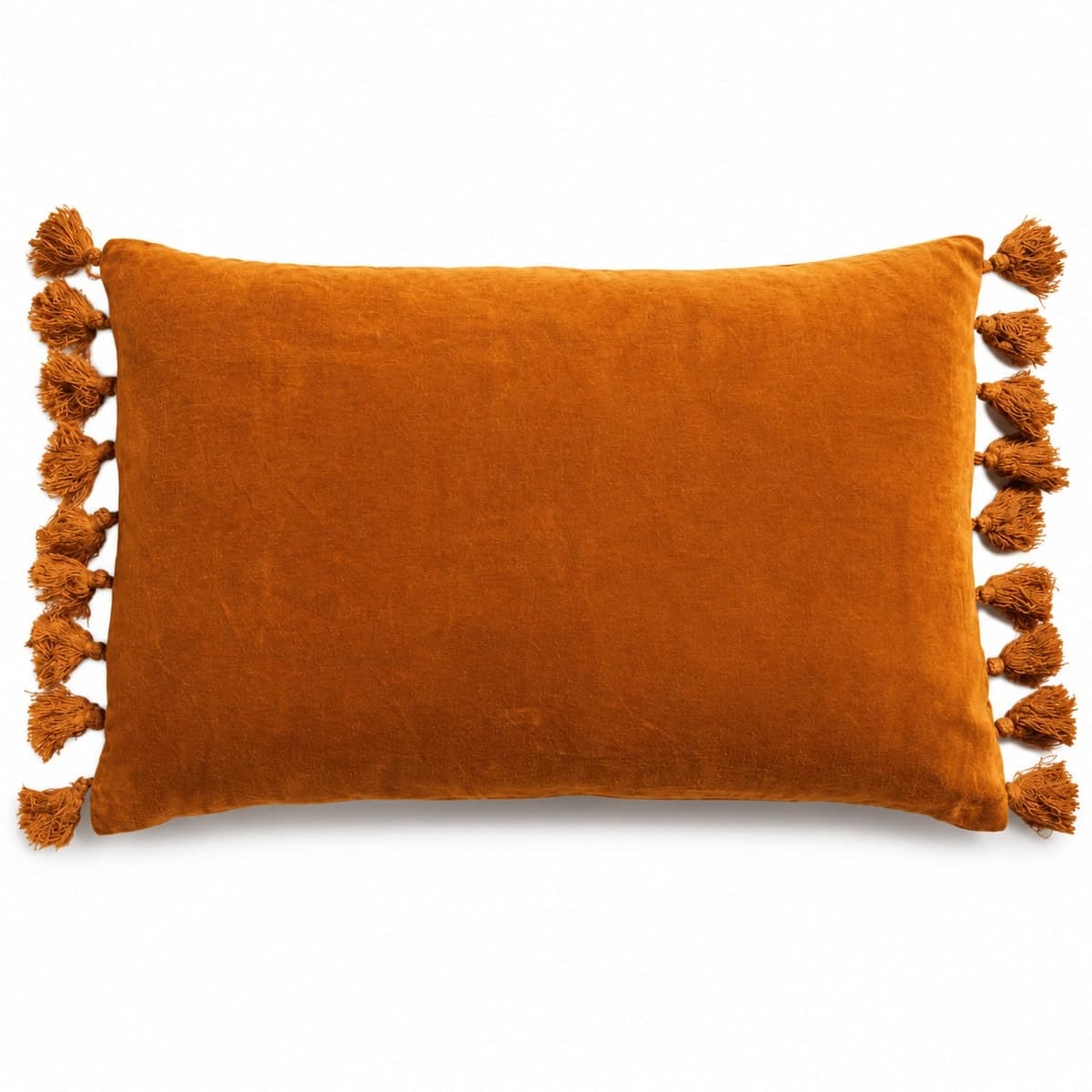 Amber Luxe Velvet Tassel Cushion Cover